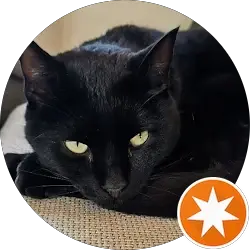 Lars Cadiz Aspenes (L P A)